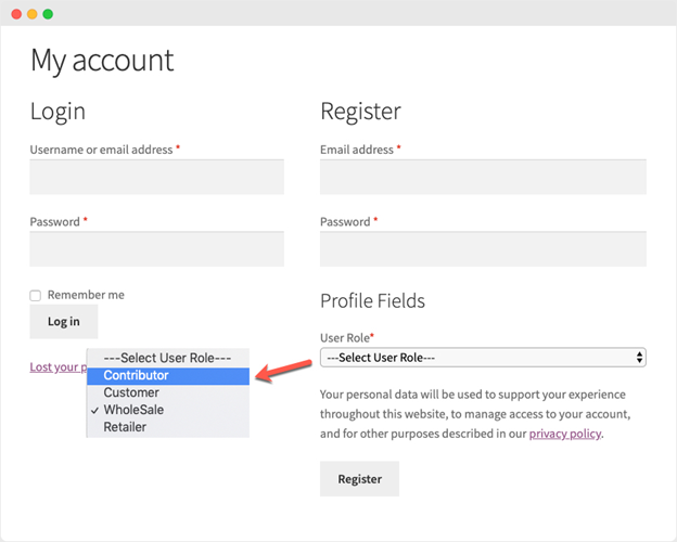 Contributor