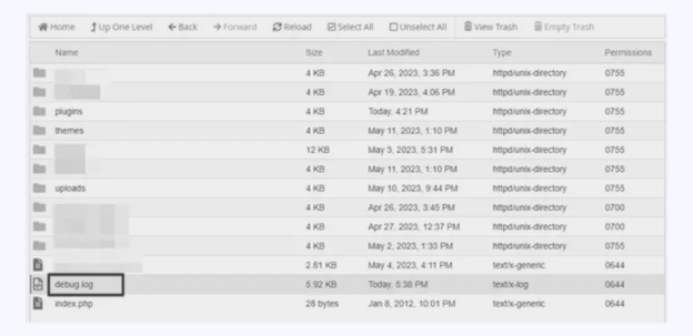 Debug Log