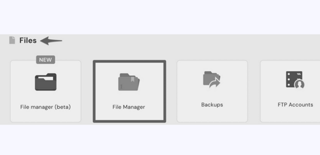 Files manager