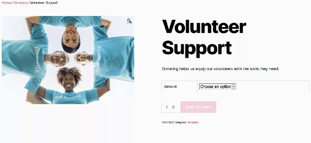 Volunteer Support