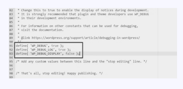 Wp Debug