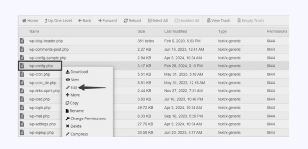 Wp config