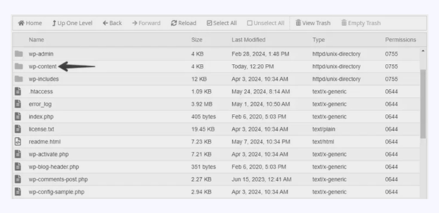 Wp content folder