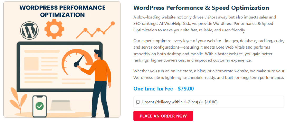 WordPress Performance & Speed Optimization