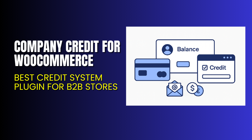 Company Credit for WooCommerce – Best Credit System Plugin for B2B Stores
