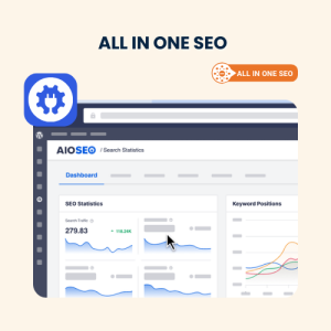 All in One SEO Installation, Setup & Troubleshooting Services