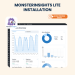 MonsterInsights Lite Installation, Setup & Troubleshooting Services