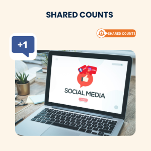 Shared Counts Plugin Installation, Setup & Troubleshooting Services
