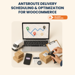 AntsRoute Delivery Scheduling & Optimization for WooCommerce – Installation & Troubleshooting Services