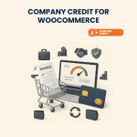 Company Credit for WooCommerce – Installation & Troubleshooting Services