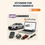 iziTuning for WooCommerce – Installation & Troubleshooting Services