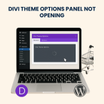 Divi Theme Options Panel Not Opening – Fixing and Troubleshooting Services